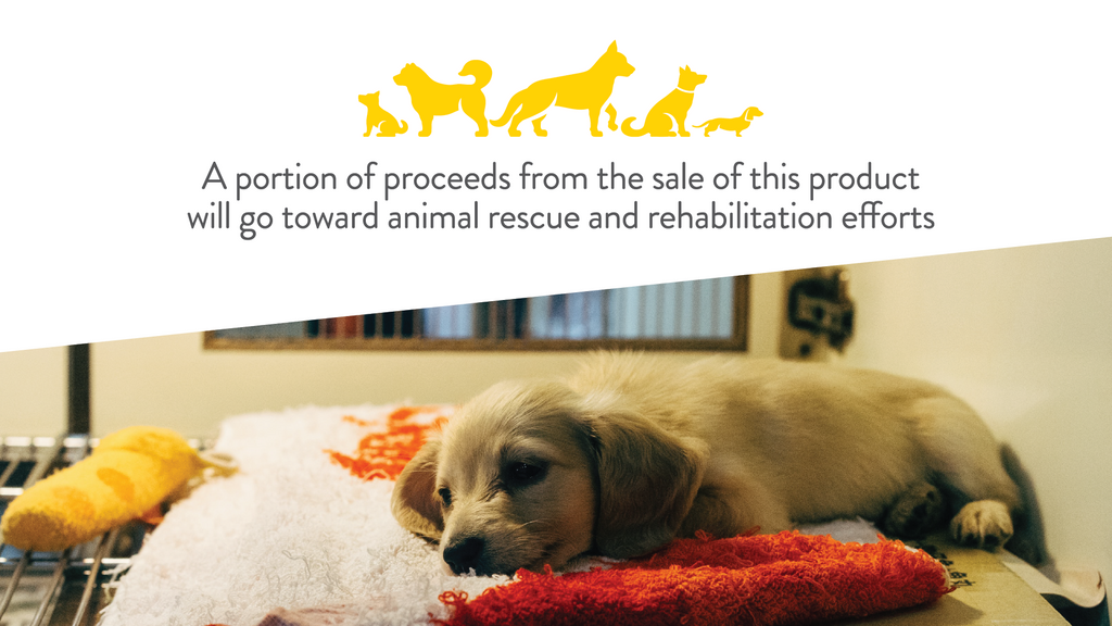 Cheerkins Benefit Community Members & Animal Shelters